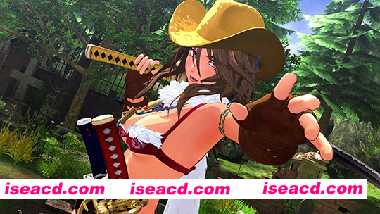 【ACT/中文/3D】美俏女剑士　起源 V1.04  官方中文硬盘版【9G/全CV】