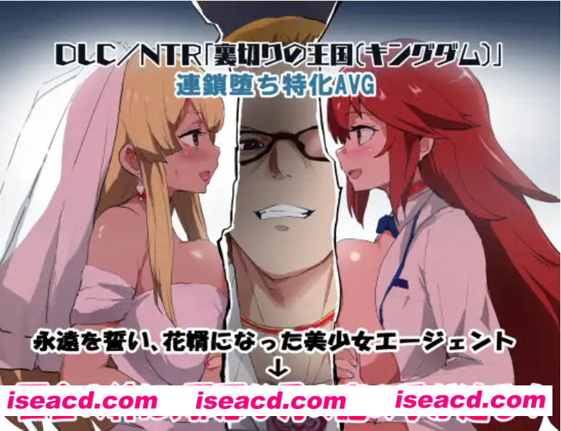 【日式RPG/AI汉化】特工天狼星 エージェント・シリウス Ver24.08.07+DLC背叛的NTR王国 整合 AI汉化【700M/新作】