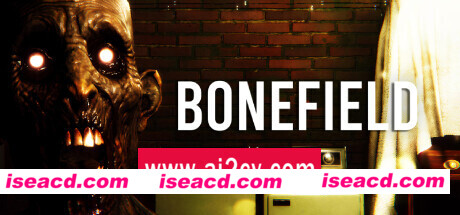 随身摄像机/Bodycam/支持网络联机