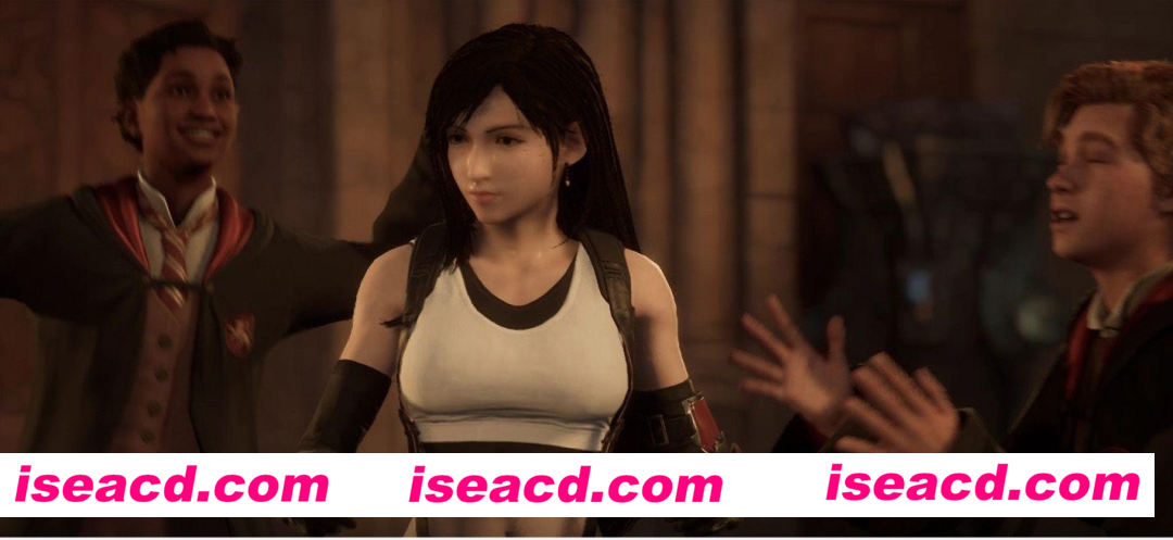 【邪恶魔改版/整合包】霍格沃兹之遗 邪恶MOD虚杯3.0整合版[120+MOD/绅士/可单独下载]