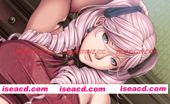 【ADV/AI汉化/CV】不眠之夜～仲夏夜之梦～【电脑/3G】SLEEPLESS ～A Midsummer Night’s Dream～