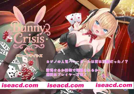 【日系RPG/汉化/兔女郎/大馒头/PC】Bunny Crisis ～兔女郎危机～ Bunny Crisis ～バニークライシス～ Mtool汉化版【3.18G】