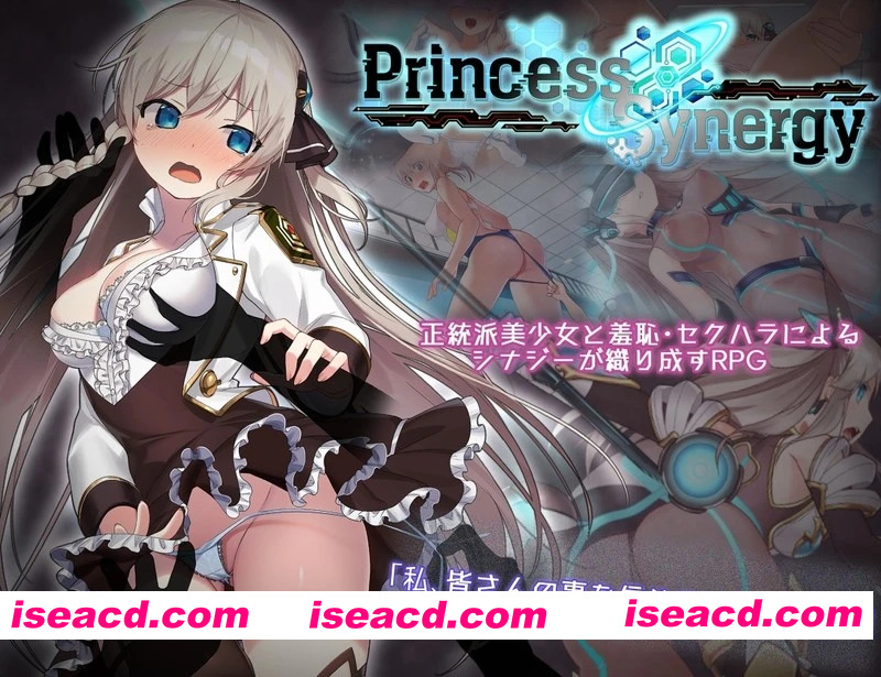 [神级RPG/汉化/动态] 公主协同效应 プリンセスシナジー Princess Synergy v1.0 AI汉化体验版[FM/百度/1.7G]