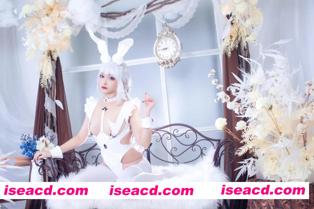 『套图』碧蓝航线 恶毒兔女郎 – 洛璃 LoLiSAMA[51P 364MB]