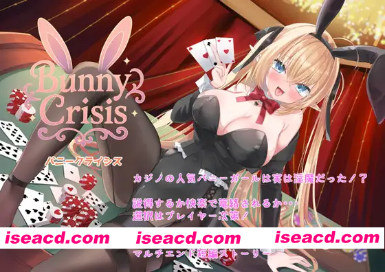 [PC-RPG] [日式RPG/姐姐×正太/动画] 兔女郎危机 Bunny Crisis ～バニークライシス～ AI汉化版 [3.20G][BD]